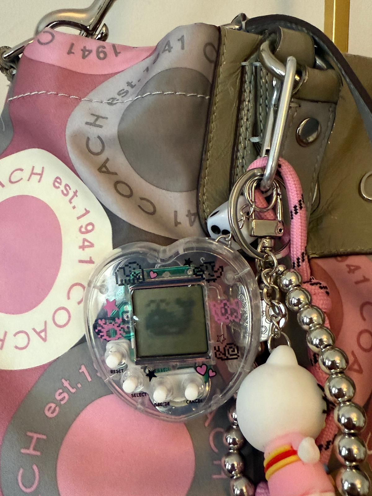 Coach Pink Grey Ashley Bag