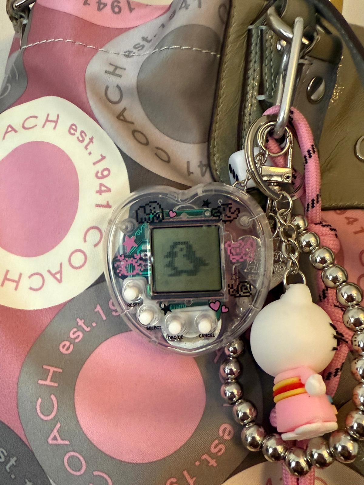 Coach Pink Grey Ashley Bag