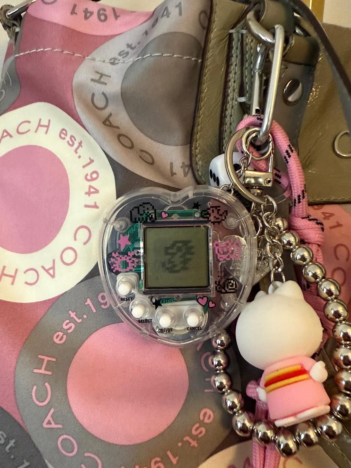 Coach Pink Grey Ashley Bag